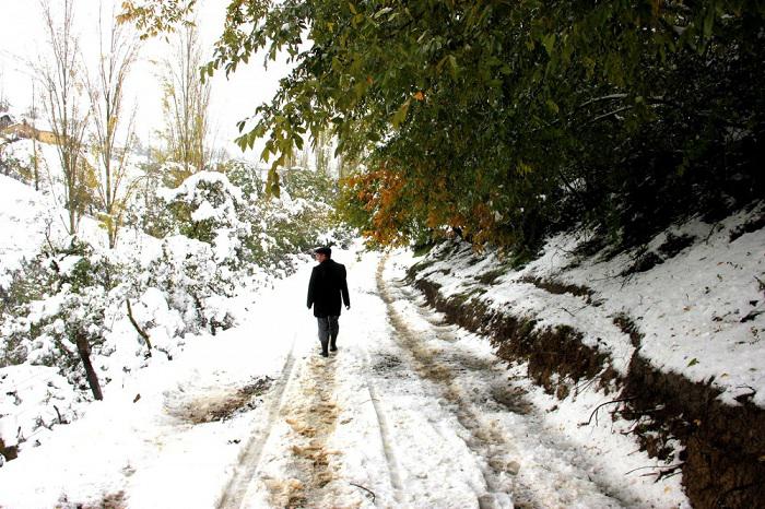 Cəlilabada qar yağdı - FOTO