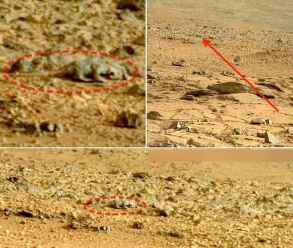 NASA-nın Mars planetinə göndərdiyi aparat Yerə maraqlı fotolar göndərib