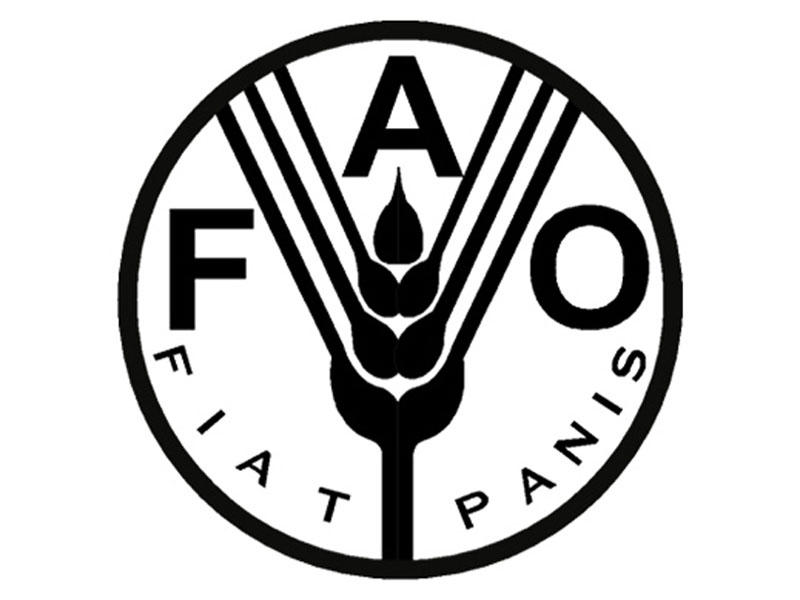 Сельскохозяйственная организация оон. Продовольственная и сельскохозяйственная организация (ФАО). ФАО логотип. ФАО ООН. Продовольственная организация ООН.