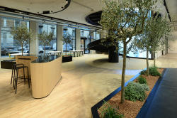 "Microsoft"un Milan ofisi - FOTO