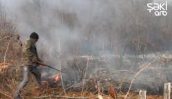 "Tüstü çıxan kimi başa düşdük" - İsmayıllıda meşə yandı - VİDEO - FOTO