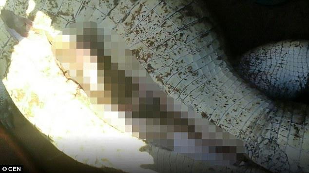 İtmiş uşaq timsahın qarnından çıxarıldı - VİDEO - FOTO