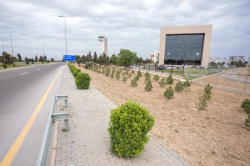 Heydər Əliyev Beynəlxalq Hava Limanında ağacəkmə aksiyası keçirilib