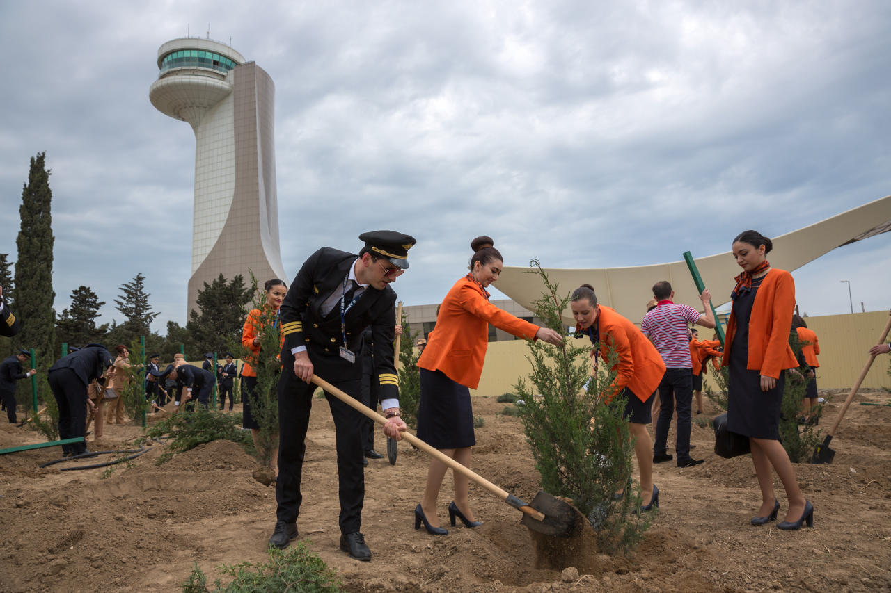 Heydər Əliyev Beynəlxalq Hava Limanında ağacəkmə aksiyası keçirilib