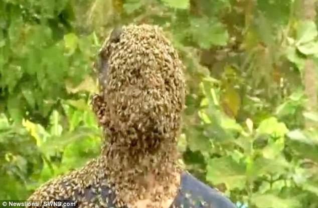 Başını 60 min arı örtdü - VİDEO - FOTO