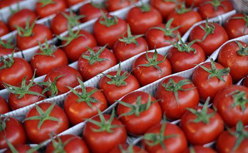 Rusiya sərhədə tərəzi qoydu, Bakıda pomidor 3 dəfə ucuzlaşdı - VİDEO - FOTO