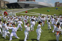 Heydər Əliyev Mərkəzinin parkında karate dərsi - FOTO