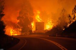 Portuqaliyada meşələr kül olur: 61 ölü - VİDEO - FOTO