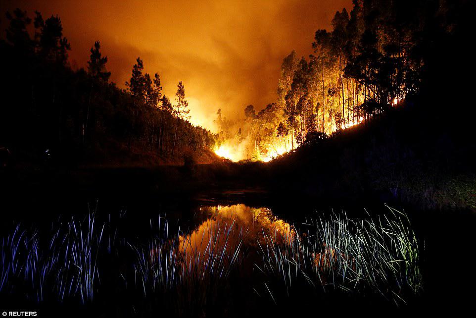 Portuqaliyada meşələr kül olur: 61 ölü - VİDEO - FOTO