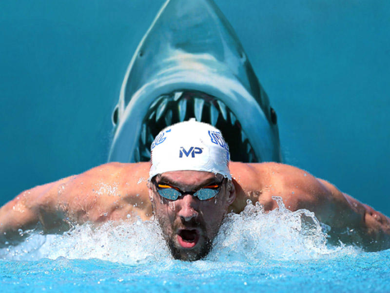 Olimpiya çempionu köpək balığı ilə yarışdı