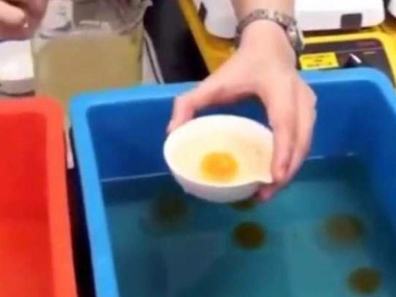 Saxta yumurtalar belə hazırlanır - Diqqətli olun - VİDEO