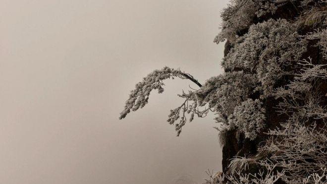 Buz bağlamış dağların heyrətamiz mənzərəsi - FOTO