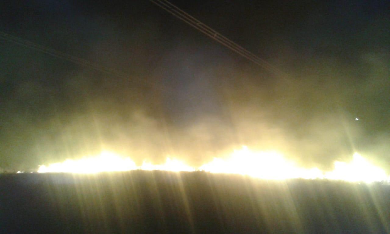 “Azərenerji”dən Göyçayda elektrik xətlərinə yaxın zonada baş vermiş yanğınla bağlı AÇIQLAMA - FOTO