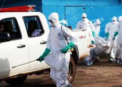 &quot;Ebola&quot;ya yoluxan 300 şəxsdən 186 nəfəri vəfat etdi