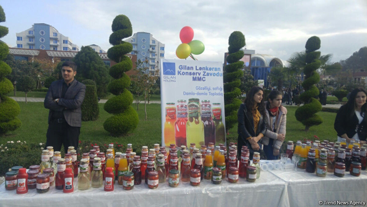 Lənkəranda ikinci Çay, çəltik və sitrus festivalı keçirilir - FOTO