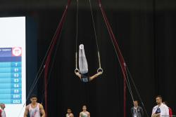 Bakıda idman gimnastikası üzrə Dünya Kuboku keçirilir - FOTO