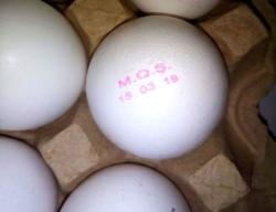 Sabah istehsal olunacaq yumurta bu gün satışa çıxarıldı - Araşdırma başladı