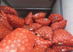 Qanunsuz yolla ixrac olunan 20 ton soğan aşkarlandı