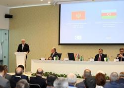 Azərbaycan iqtisadiyyatına 260 milyard dollardan artıq investisiya yatırılıb - <span class="color_red"> Nazir</span>