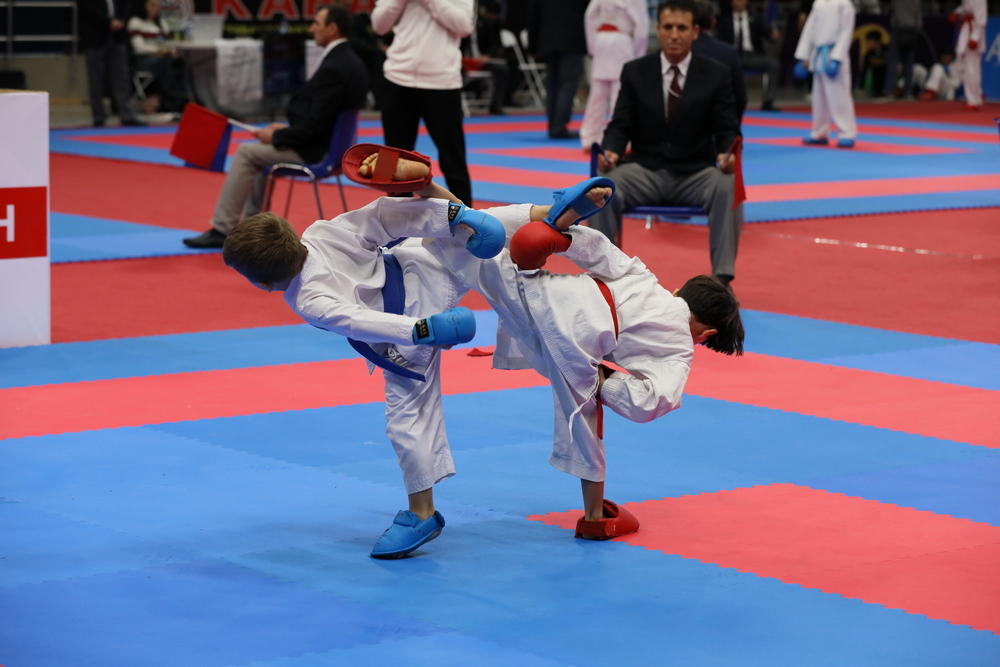 Karate üzrə beynəlxalq turnir başa çatdı -