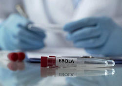 “Ebola” da aktivləşdi: Ölüm <span class="color_red">sayı artır...</span>