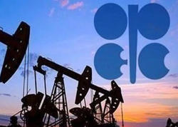 OPEC Azərbaycanda maye karbohidrogen hasilatı ilə bağlı proqnozları açıqladı