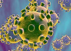 Avropada koronavirusa təkrar yoluxma halları artır