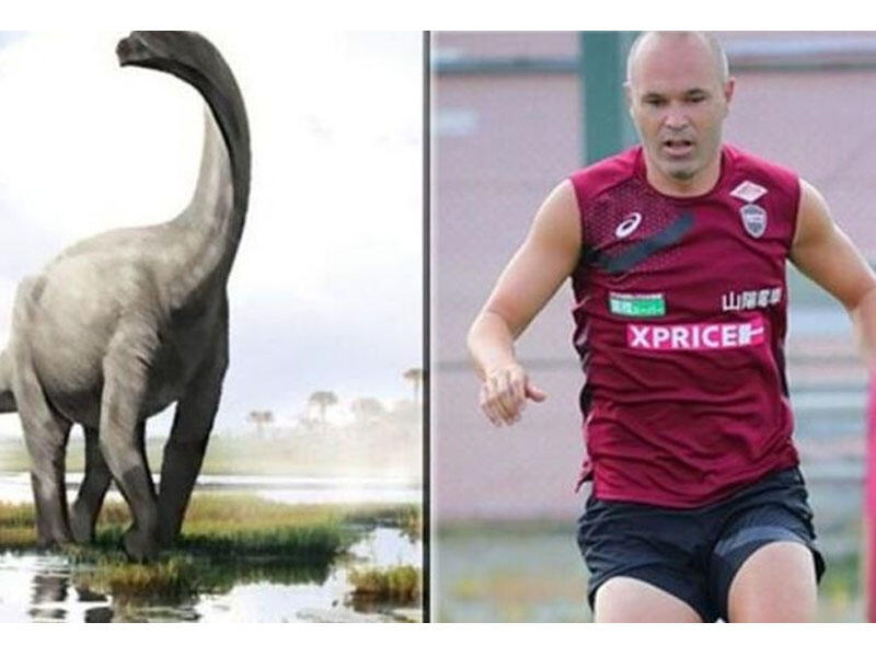 İspaniyada izləri tapılan dinozavr məşhur futbolçunun şərəfinə adlandırıldı