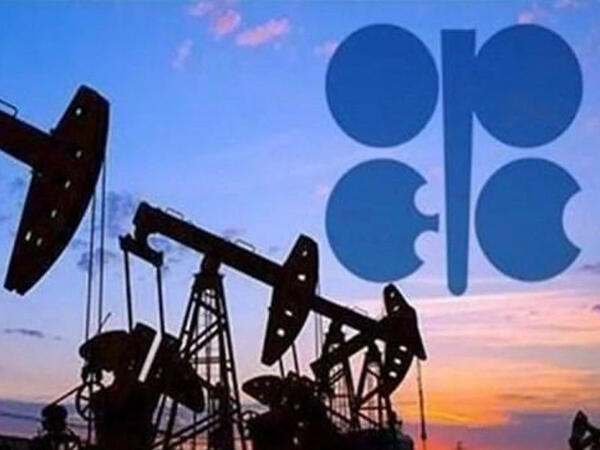 OPEC Azərbaycanda neft hasilatı ilə bağlı proqnozunu açıqladı