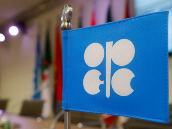 OPEC+ nazirlərinin növbəti görüşü noyabrın 26-da Vyanada keçiriləcək