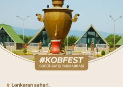 “KOB Fest” sərgi satış yarmarkası Lənkəran şəhərində