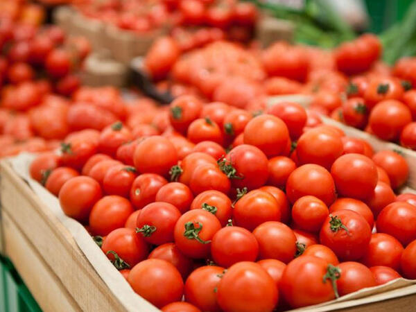 Bu pomidorlarda təhlükəli zəhər olur - <span class="color_red">YEMƏYİN!</span>