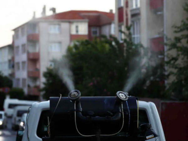 İstanbulda “Aedes” həyəcanı: Əhali narahatdır - FOTO