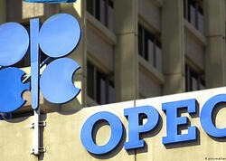 OPEC-in iclası <span class="color_red"> ləğv edildi</span>