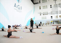 Milli Gimnastika Arenasında Gəncə və Masallı idmançılarının təlim-məşq toplanışı keçirilir - FOTO