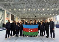 Azərbaycan gimnastları <span class="color_red">qızıl qazandılar</span>