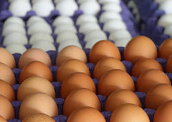 Tonlarla yumurta satışdan yığışdırılır - Alıcılara <span class="color_red">XƏBƏRDARLIQ</span>