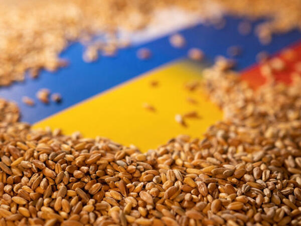 “Bloomberg”: Rusiya 1 milyard dollar dəyərində Ukrayna buğdasını oğurlayıb