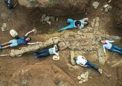 100 milyon illik heyvan sümükləri tapıldı - FOTO