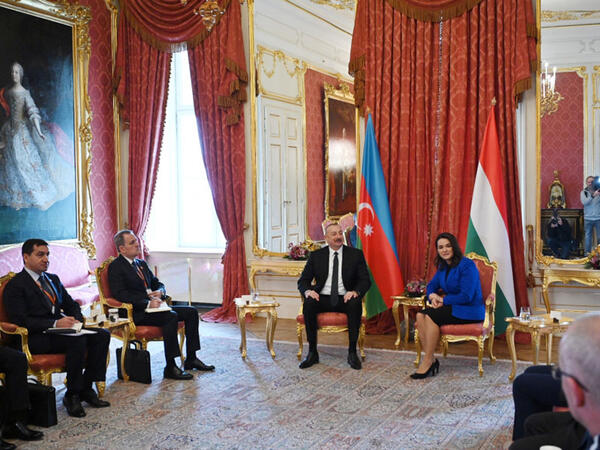 Prezidentin Katalin Novak ilə geniş tərkibdə görüşü olub - FOTO