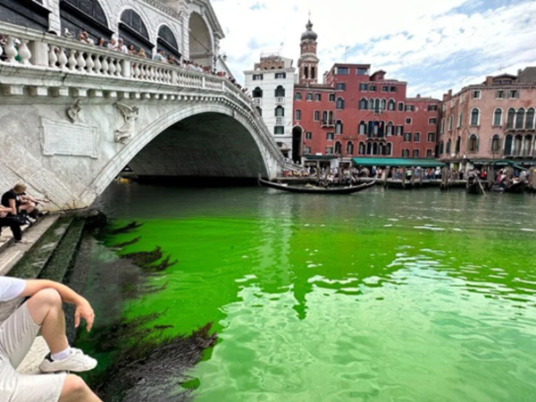Venesiya suları yaşıla büründü - FOTO