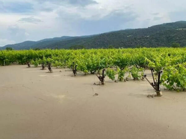 Türkiyədə hektarlarla kənd təsərrüfatı sahələri su altında qaldı - FOTO