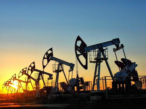 OPEC+ ölkələrə 2024-cü il ərzində 40,46 milyon b/s neft hasil etmək barədə razılığa gəliblər