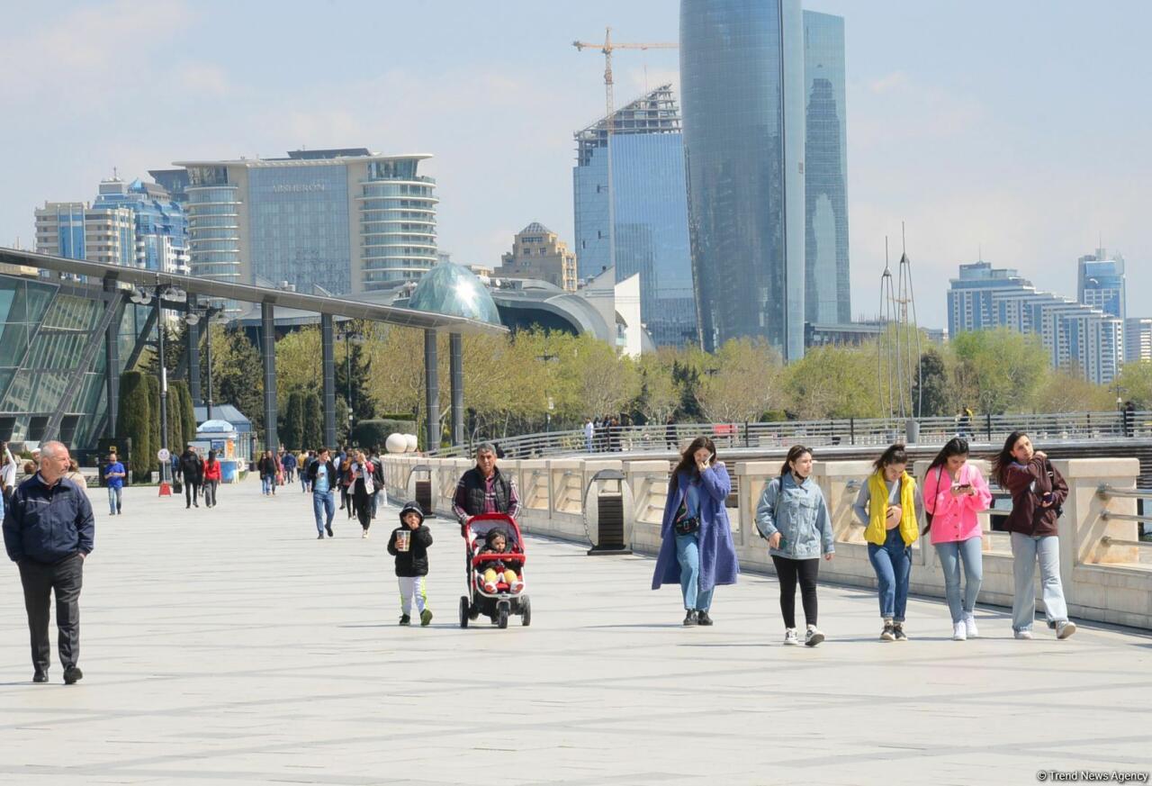 Bulvarda kaktusları kəsib, yandıran şəxs saxlanılıb