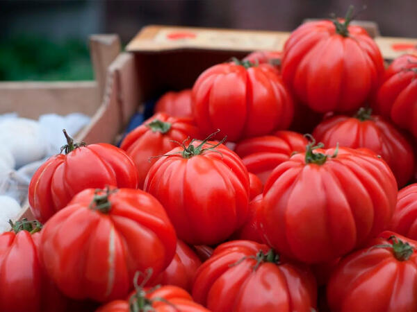 Pomidoru zeytunla qatıb saçınıza çəkin, <span class="color_red">görün nə olur</span>