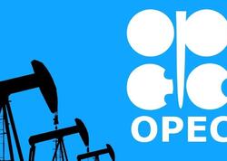 &quot;OPEC+&quot; neft hasilatını daha da <span class="color_red">azaldacaq</span>