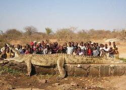 Afrikada kəndlilər həyatlarının şokunu yaşadılar - <span class="color_red"> uzunluğu 7 metr olan timsah...</span>