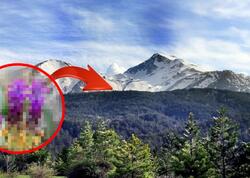 Yeni kəşf: Türkiyədə 1570 metr yüksəklikdə tapıldı - <span class="color_red">FOTO</span>