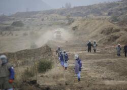 Britaniyalı jurnalist: Qərb Azərbaycana minaların təmizlənməsində az kömək edir