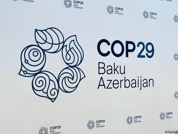 COP29 sədrliyi nazirliklər nümayəndələrinin təyin olunmasını elan edib